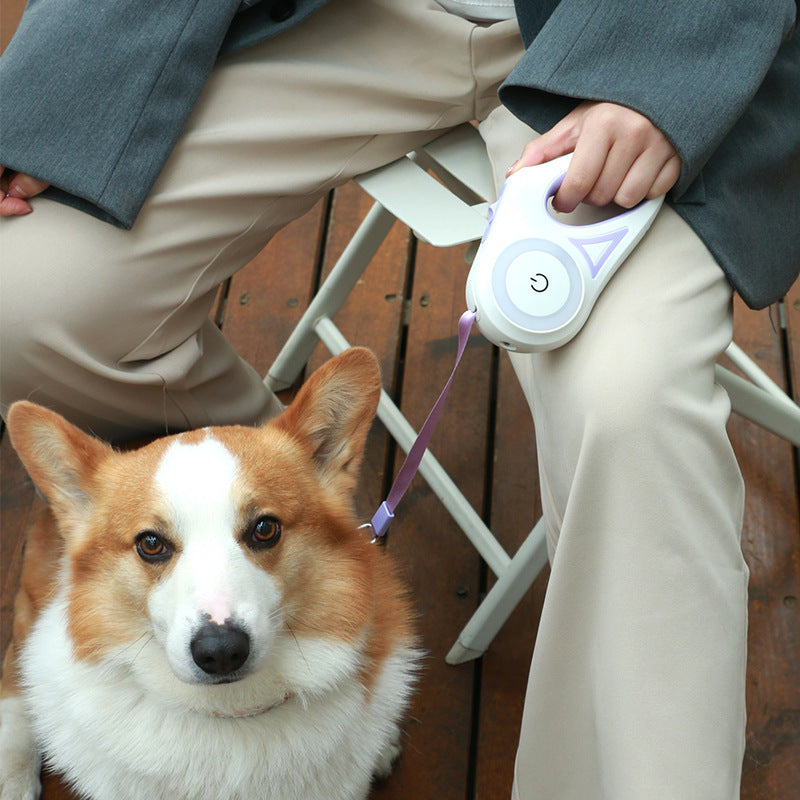 Retractable Dog Leash with LED Spotlight – Automatic Lock & Safe Night Walks