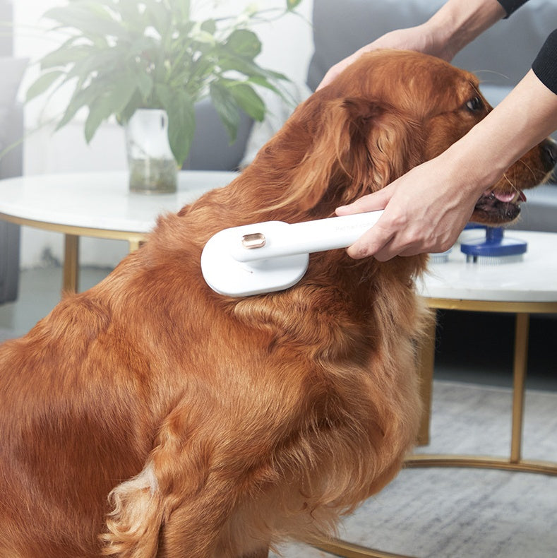 Pet Hair Remover Comb β Self-Cleaning Grooming Brush for Dogs & Cats