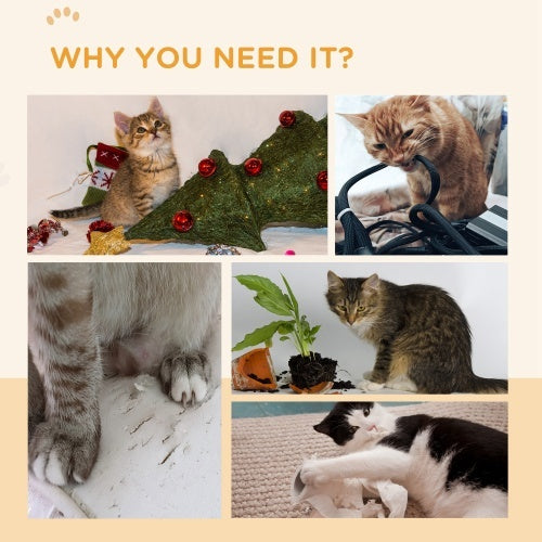 Multifunctional Cat Scratching Wheel – Reversible Cardboard Scratcher & Play Toy for Indoor Cats