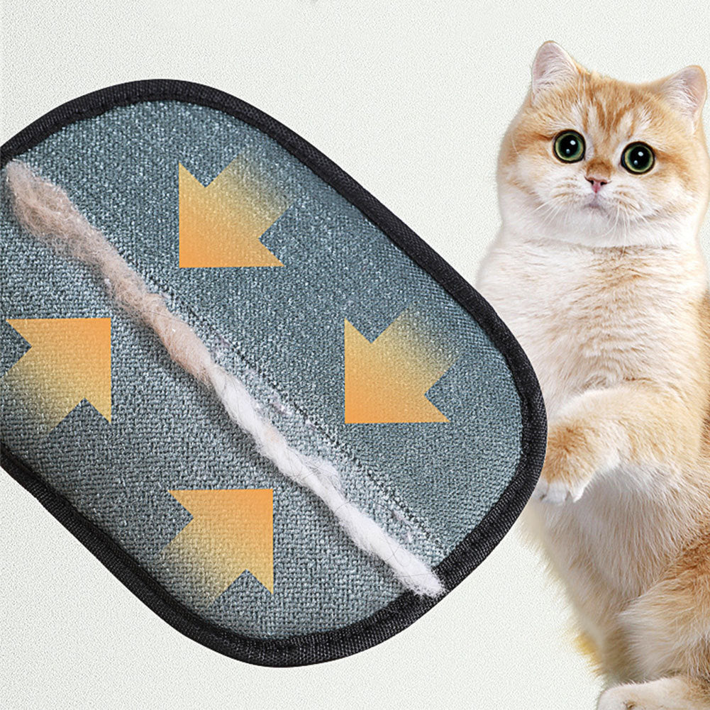 👉 “Pet Hair Removal Glove – For Dogs, Cats & Rabbits”🔥 Limited Time – 32% OFF Today Only!